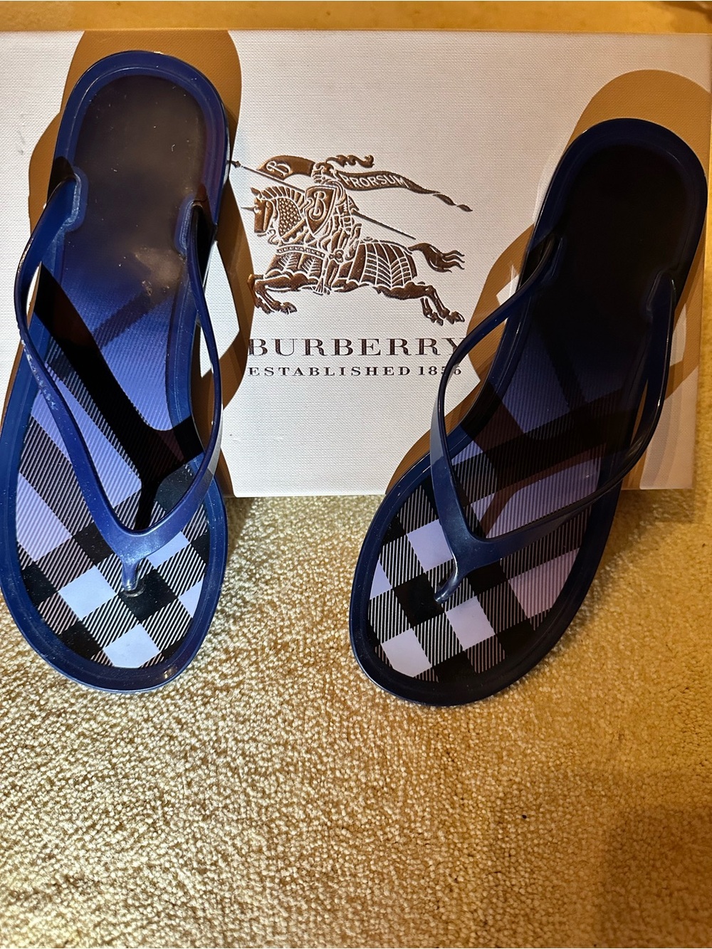 Burberry Blue Plaid Jelly Sandals